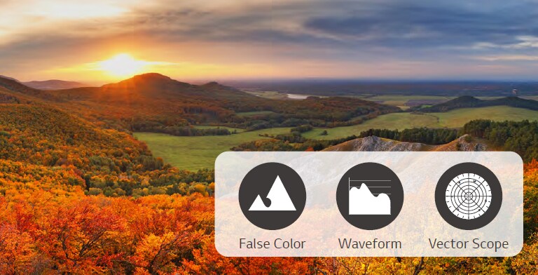 Through analyzing the video signal, the False Color, Waveform, and Vector Scope information is visualized and shown. 