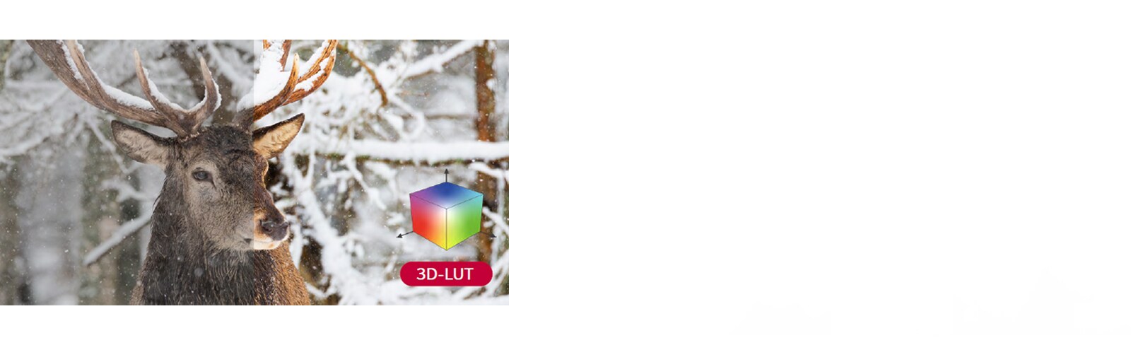 Using 3D-LUT the color combination becomes more abundant, making color reproduction more accurate.