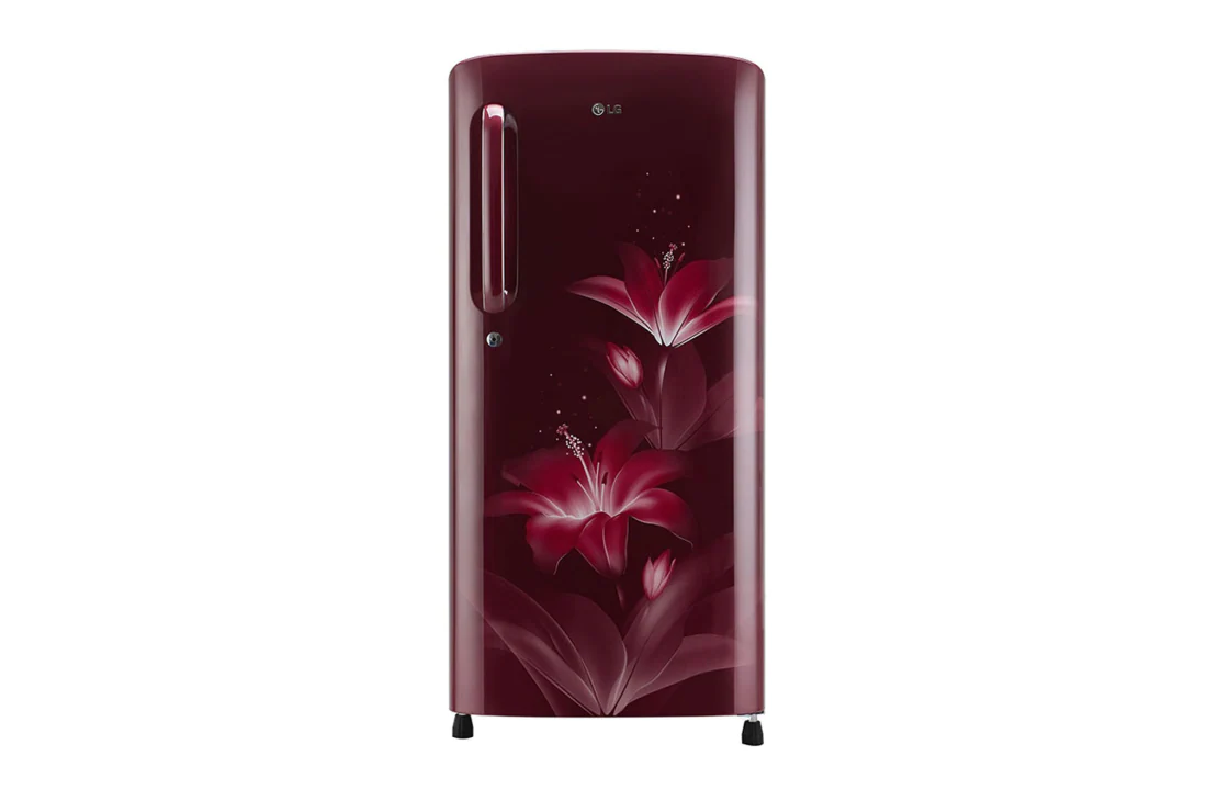 LG 190 L, Smart Inverter Compressor, GL-B205ARGB