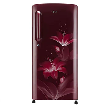 190 L, Smart Inverter Compressor1