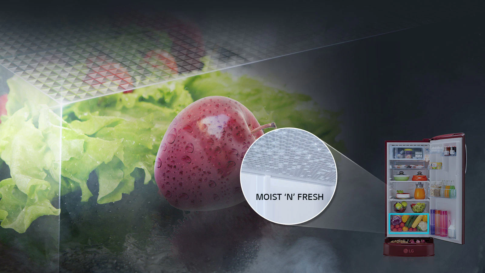 LG Single Door Refrigerator with Mosit N Fresh
