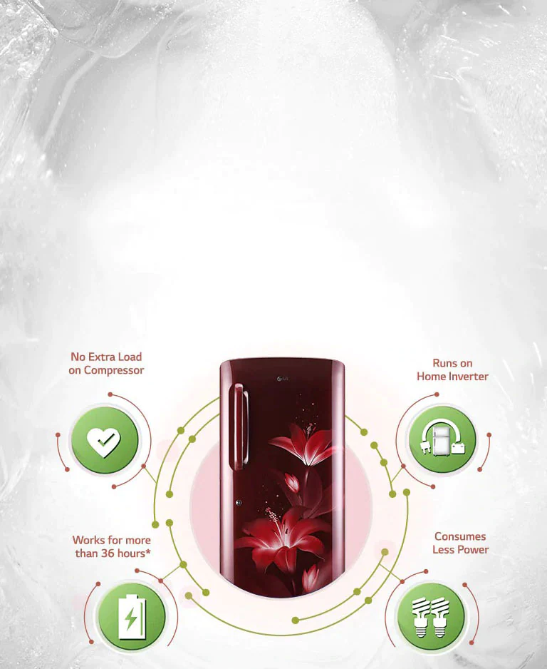 LG GL-D201ABGZ Smart Connect