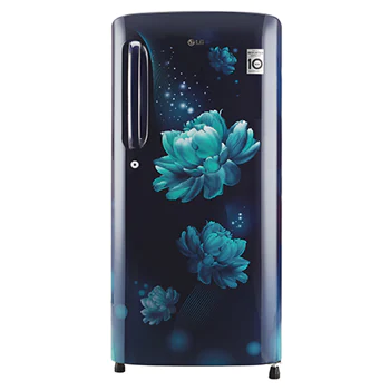 190 L, Smart Inverter Compressor1