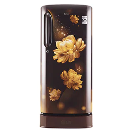 190 L, Smart Inverter Compressor2