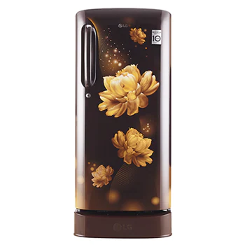 190 L, Smart Inverter Compressor1