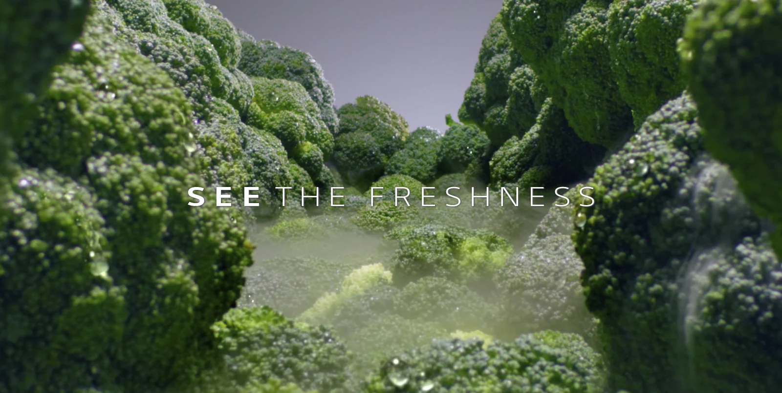 D08-01_GS-M8259PZ_Multi-Door-RefrigeratorsREF-Next8-PlatinumSilver-02-2-LinearCooling-Desktop_52719