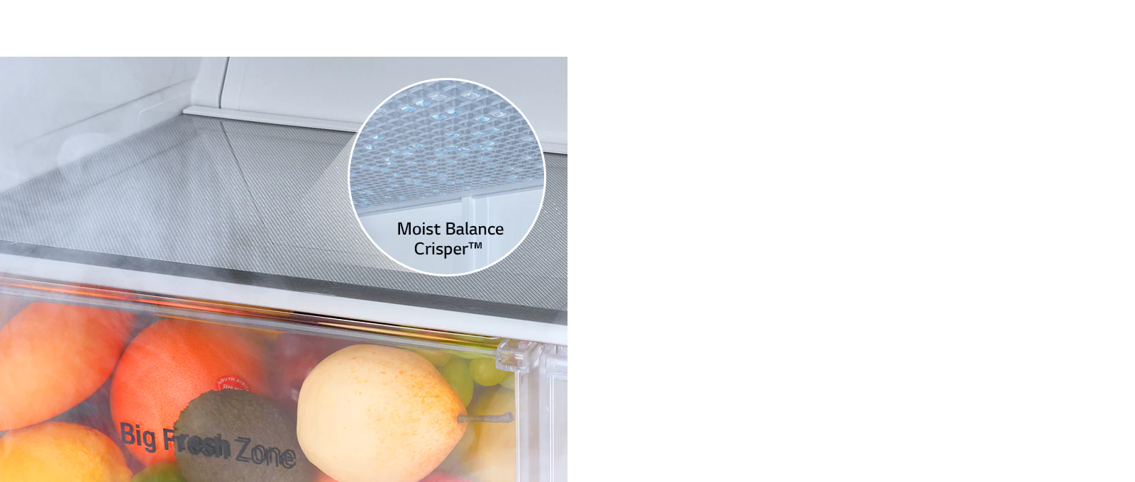 Vegetable & Fruits Fresher for Longer1