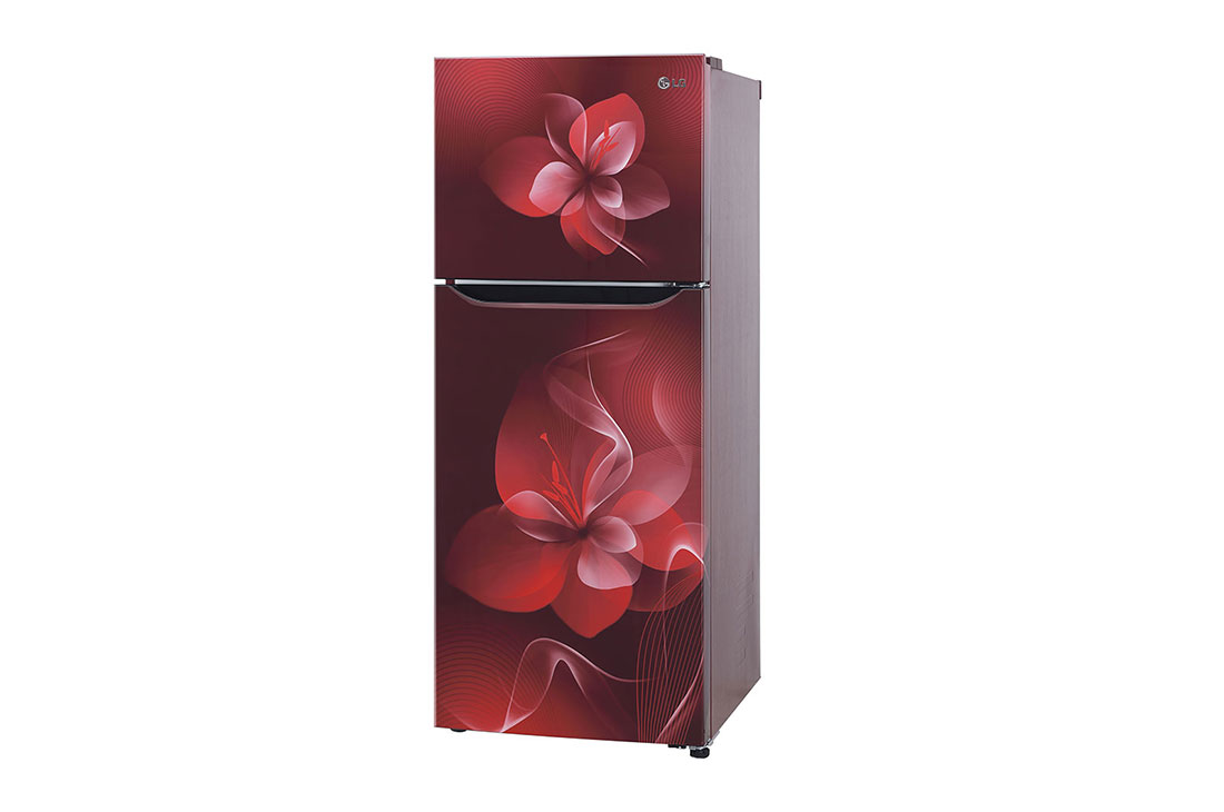 LG 260 Litres Frost Free Refrigerator With Smart Inverter Compressor, Convertible Fridge, Multi Air Flow, LED Lighting, MOIST ‘N’ FRESH, LG GL-K272SPTL 260 Ltr Right view, GL-K272SPTL, thumbnail 2