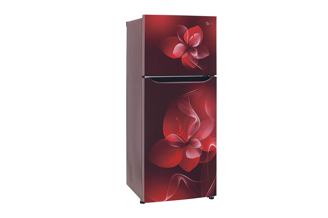 LG 260 Litres Frost Free Refrigerator With Smart Inverter Compressor, Convertible Fridge, Multi Air Flow, LED Lighting, MOIST ‘N’ FRESH, LG GL-K272SPTL 260 Ltr Left View , GL-K272SPTL, thumbnail 3