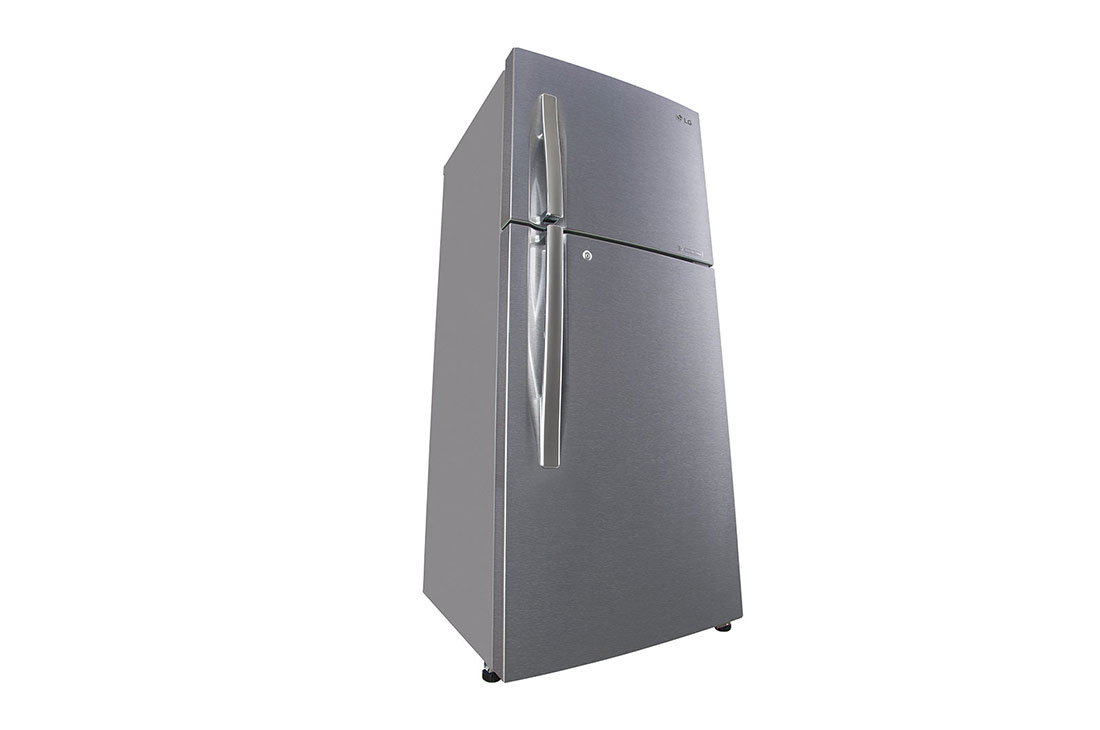 LG 260 Litres Frost Free Refrigerator With Smart Inverter Compressor, Convertible Fridge, Smart Diagnosis™, Auto Smart Connect™, MOIST ‘N’ FRESH, GL-B292RVBN.APZQ Left Low Perspective View, GL-B292RVBN, thumbnail 6