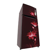 LG 260 Litres Frost Free Refrigerator With Smart Inverter Compressor, Multi Air Flow, LED Lighting, MOIST ‘N’ FRESH, LG GL-K272SPTL Left Low Perspective, GL-K272SPTL, thumbnail 10