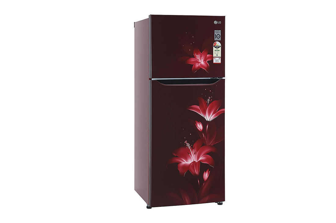 LG 260 Litres Frost Free Refrigerator With Smart Inverter Compressor, Multi Air Flow, LED Lighting, MOIST ‘N’ FRESH, LG GL-K272SPTL Left View, GL-K272SPTL, thumbnail 9