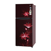 LG 260 Litres Frost Free Refrigerator With Smart Inverter Compressor, Multi Air Flow, LED Lighting, MOIST ‘N’ FRESH, LG GL-K272SPTL Right View, GL-K272SPTL, thumbnail 8