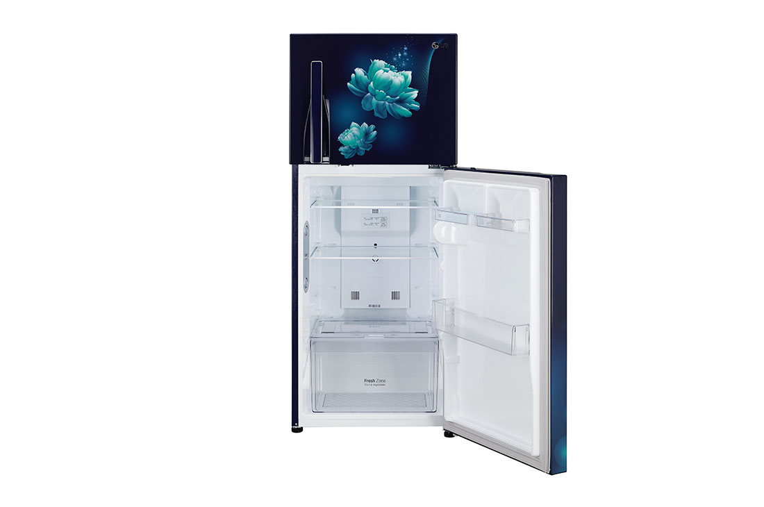 LG 260 Litres ConvertiblePLUS Fridge with Inverter Linear Compressor, Door Cooling+™, Smart Diagnosis™, Auto Smart Connect™, GL-B292RVBN.ABCQ, GL-B292RVBN, thumbnail 6