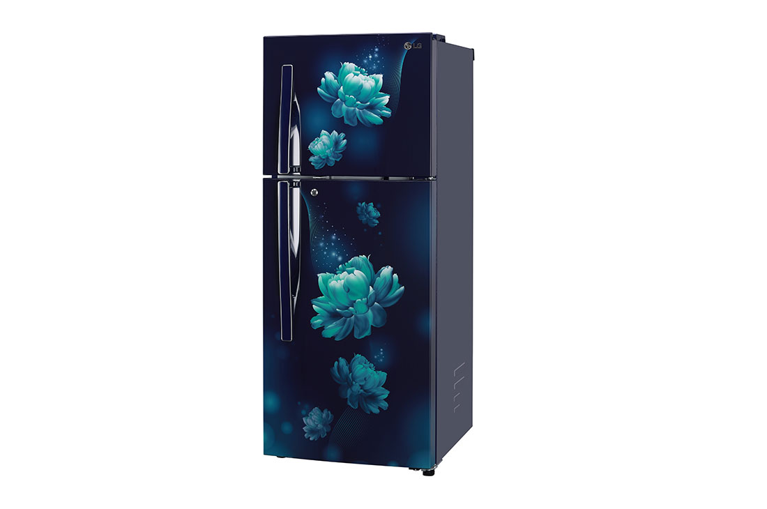 LG 260 Litres ConvertiblePLUS Fridge with Inverter Linear Compressor, Door Cooling+™, Smart Diagnosis™, Auto Smart Connect™, GL-B292RVBN.ABCQ, GL-B292RVBN, thumbnail 9