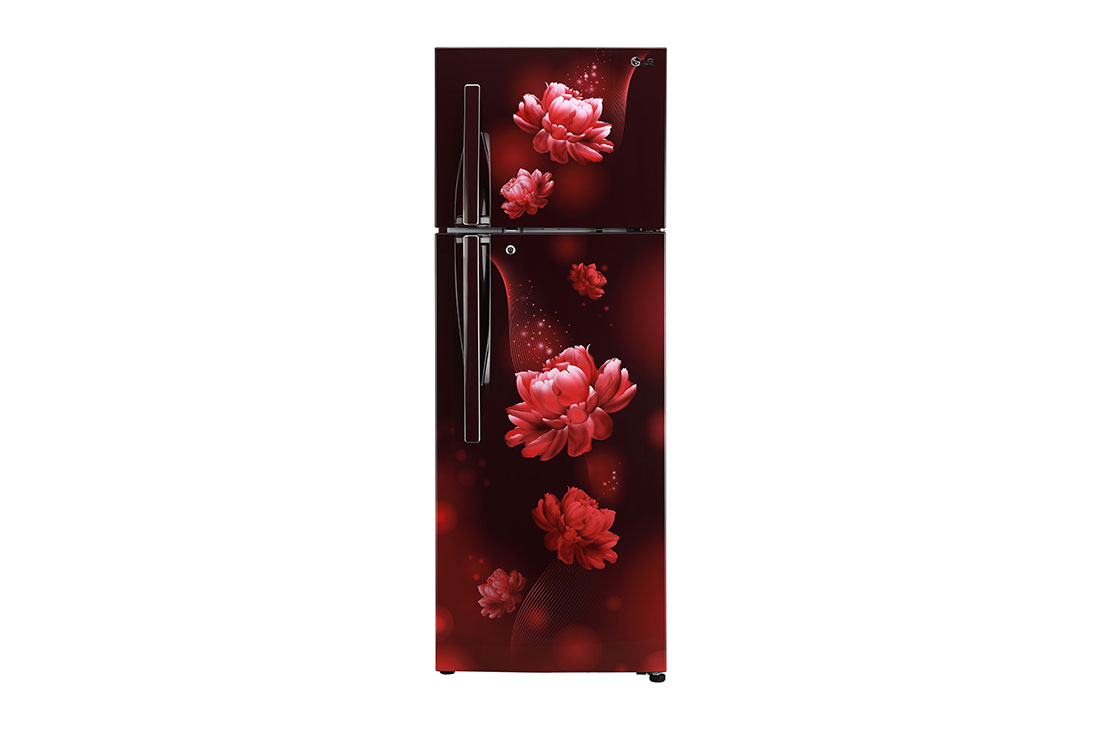 308L ConvertiblePLUS Top Freezer in Scarlet Charm LG NP