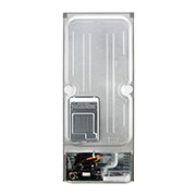 LG 260 Litres Frost Free Refrigerator With Smart Inverter Compressor, Smart Diagnosis™, Auto Smart Connect™, MOIST ‘N’ FRESH, GL-K292SLTL, thumbnail 11