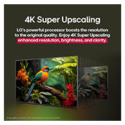 LG 86 Inch LG UHD AI UA84 4k Smart TV, Before and after comparison of how LG 4K Super Upscaling improves image quality. Two panels showing the same image of a colorful bird sitting on a branch in a forest, panel on the right is faded out. , 86UA8450PSA, thumbnail 6