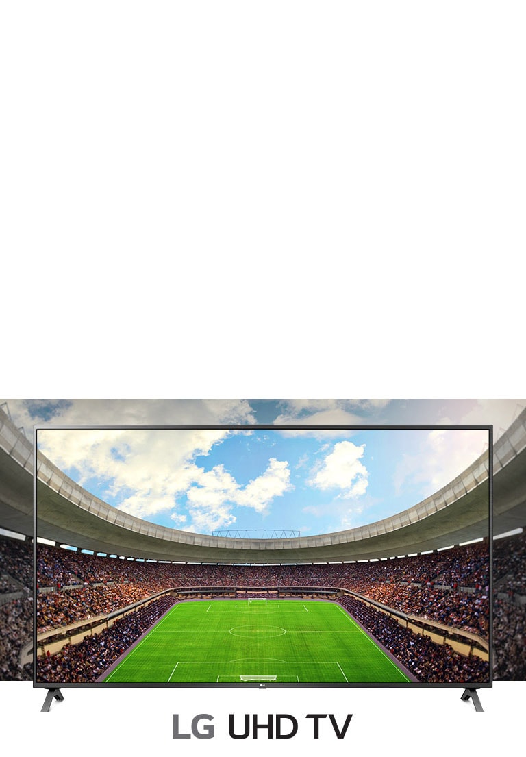 A panoramic view of the soccer stadium filled with spectators  shown inside a TV frame.