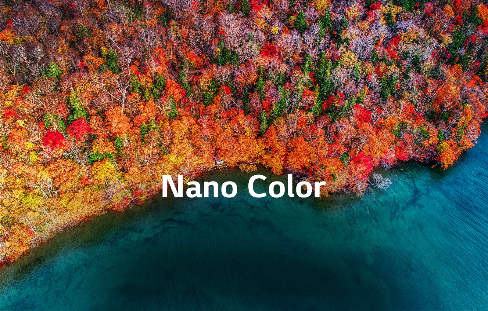 TV-NanoCell-SM85-02-Nano-Color-Desktop123