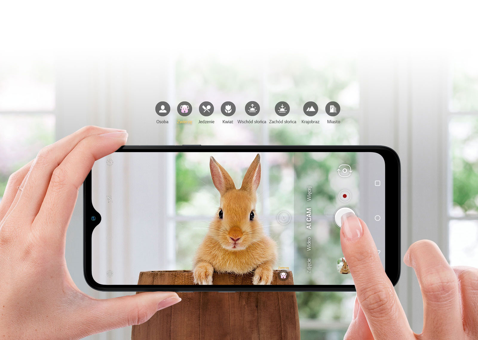 Zbliżenie na osobę robiącą zdjęcie królikowi