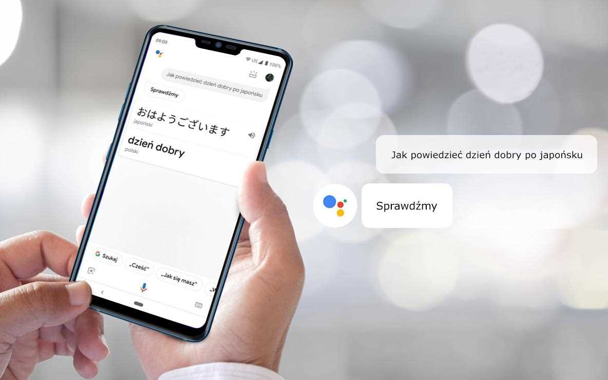 asystent-google-main.jpg