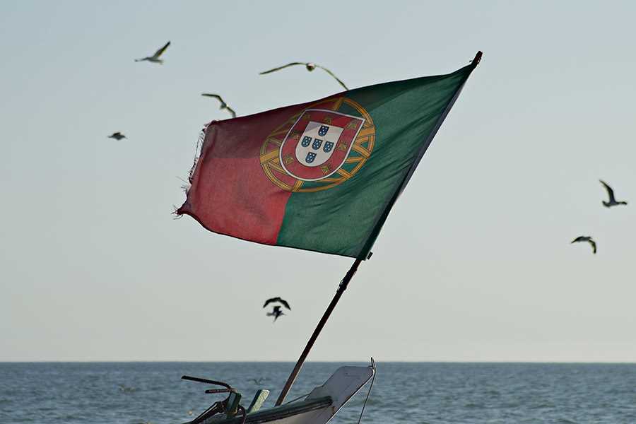 dia_de_portugal_Header.jpg