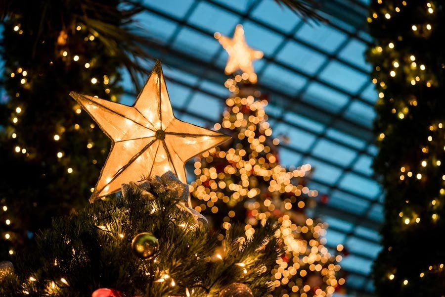 Enfeites de natal: guia indispensável | DICAS ÚTEIS | LG Experience | LG EXPERIENCE Enfeites de natal: guia indispensável | DICAS ÚTEIS | LG Experience | LG EXPERIENCE