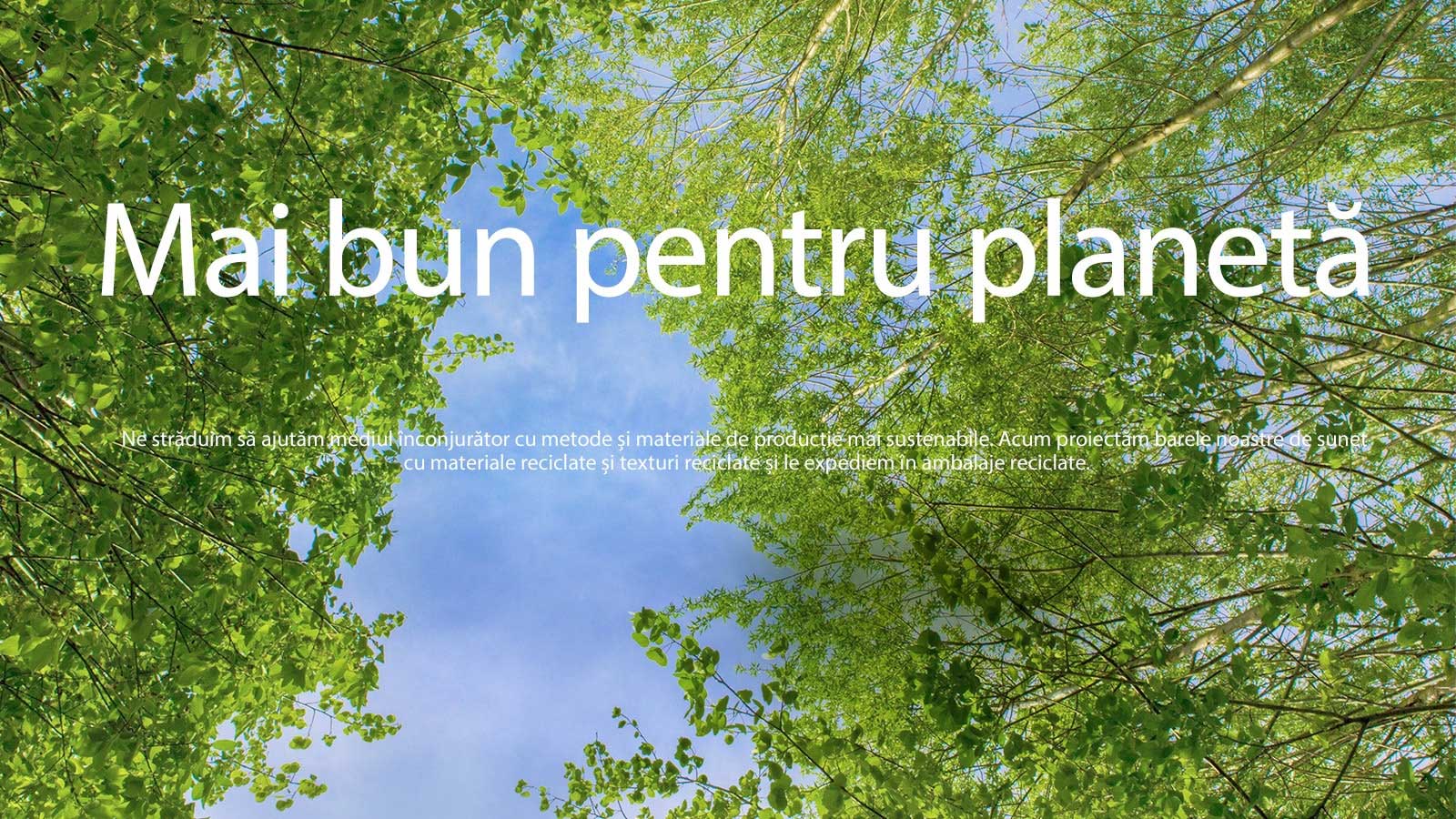 O imagine verde plină de copaci cu frunziș bogat și un cer ce se arată printre ei