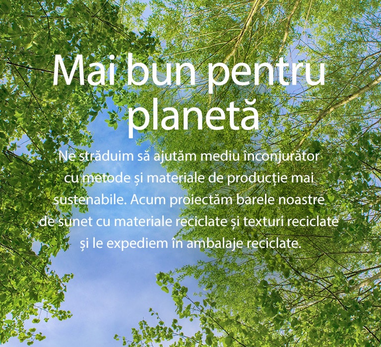 O imagine verde plină de copaci cu frunziș bogat și un cer ce se arată printre ei