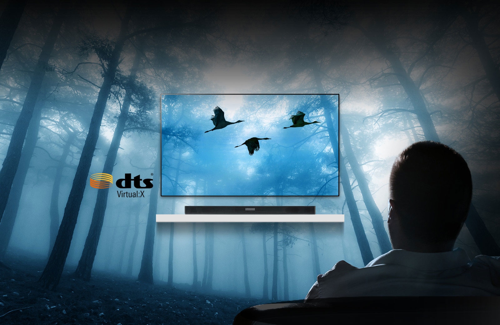 Promite sunet surround complet, tridimensional1