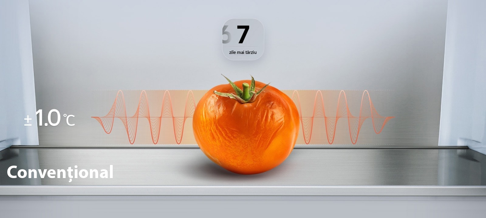 Prospețime maximă/ro/images/D13-01_bottom-freezer-f-ub1-2025%20copy%202.jpg