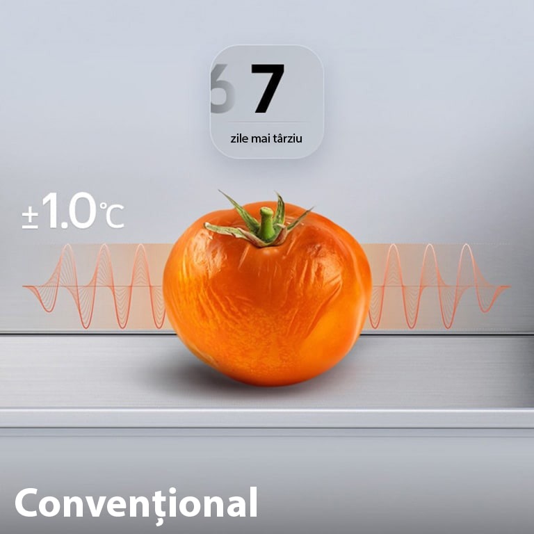 Prospețime maximă/ro/images/M13-01_bottom-freezer-f-ub1-2025%20copy%202.jpg