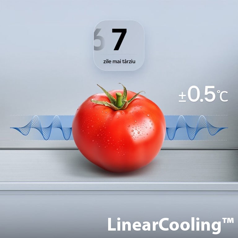 Prospețime maximă/ro/images/M13-02_bottom-freezer-f-ub1-2025%20copy%202.jpg
