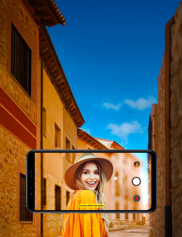 Portretele perfecționate2