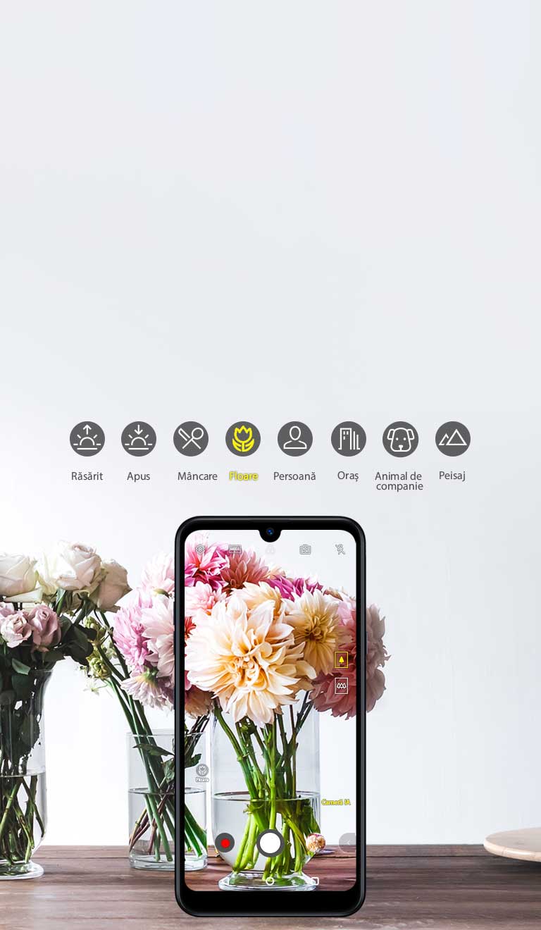 Fiecare instantaneu gândit pentru tine2