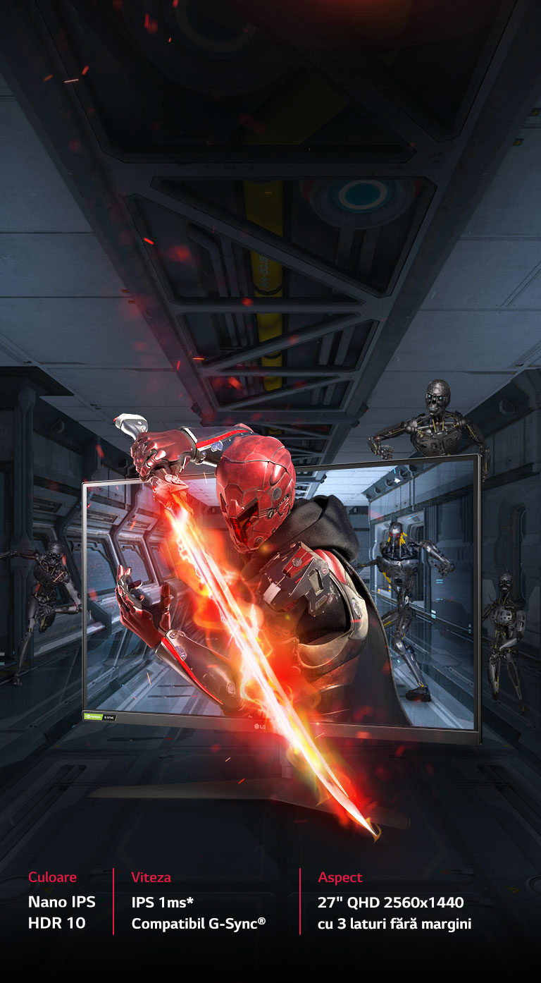 Echipat pentru victorie2