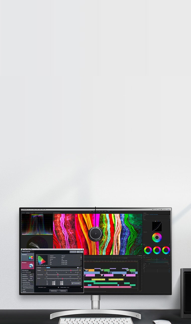 Cea mai detaliată colorizare