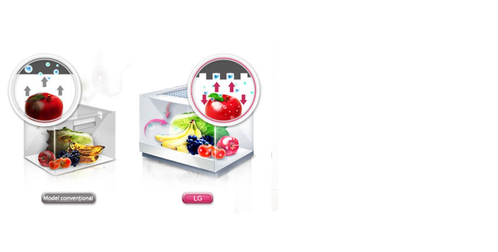 Moist Balance Crisper™<br>1