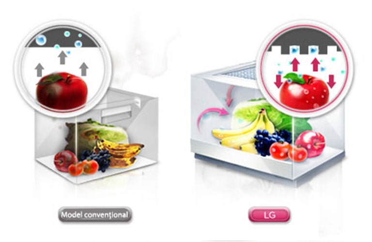 Moist Balance Crisper™<br>2