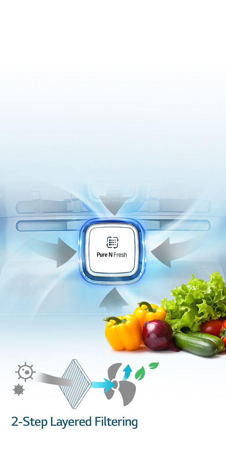 Filtru Pure N Fresh4