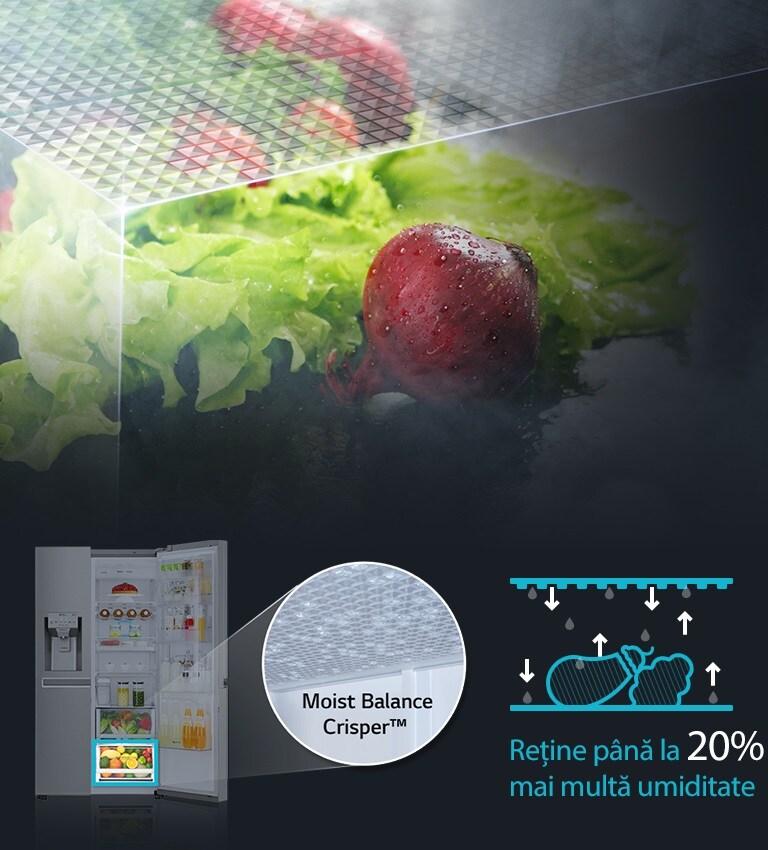 Moist Balance Crisper™2