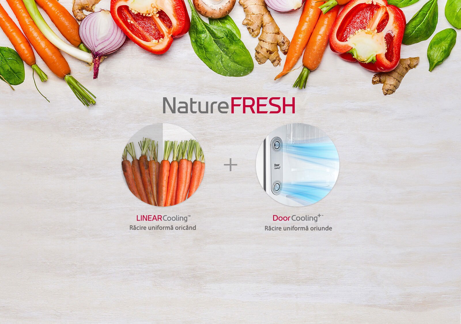 GTB583PZCZD_Feature1_Nature_fresh_2792018_v1_D