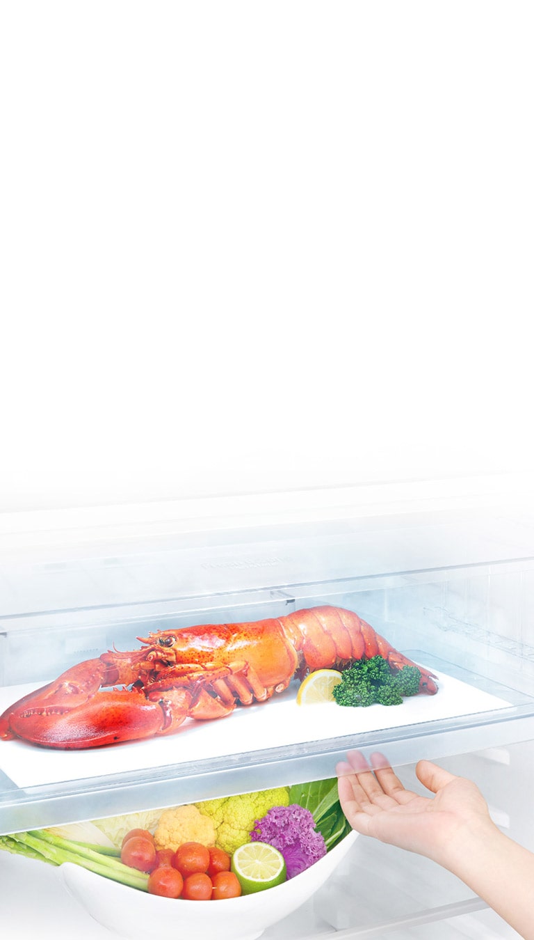 Economisiți timpul pierdut pentru dezghețare4