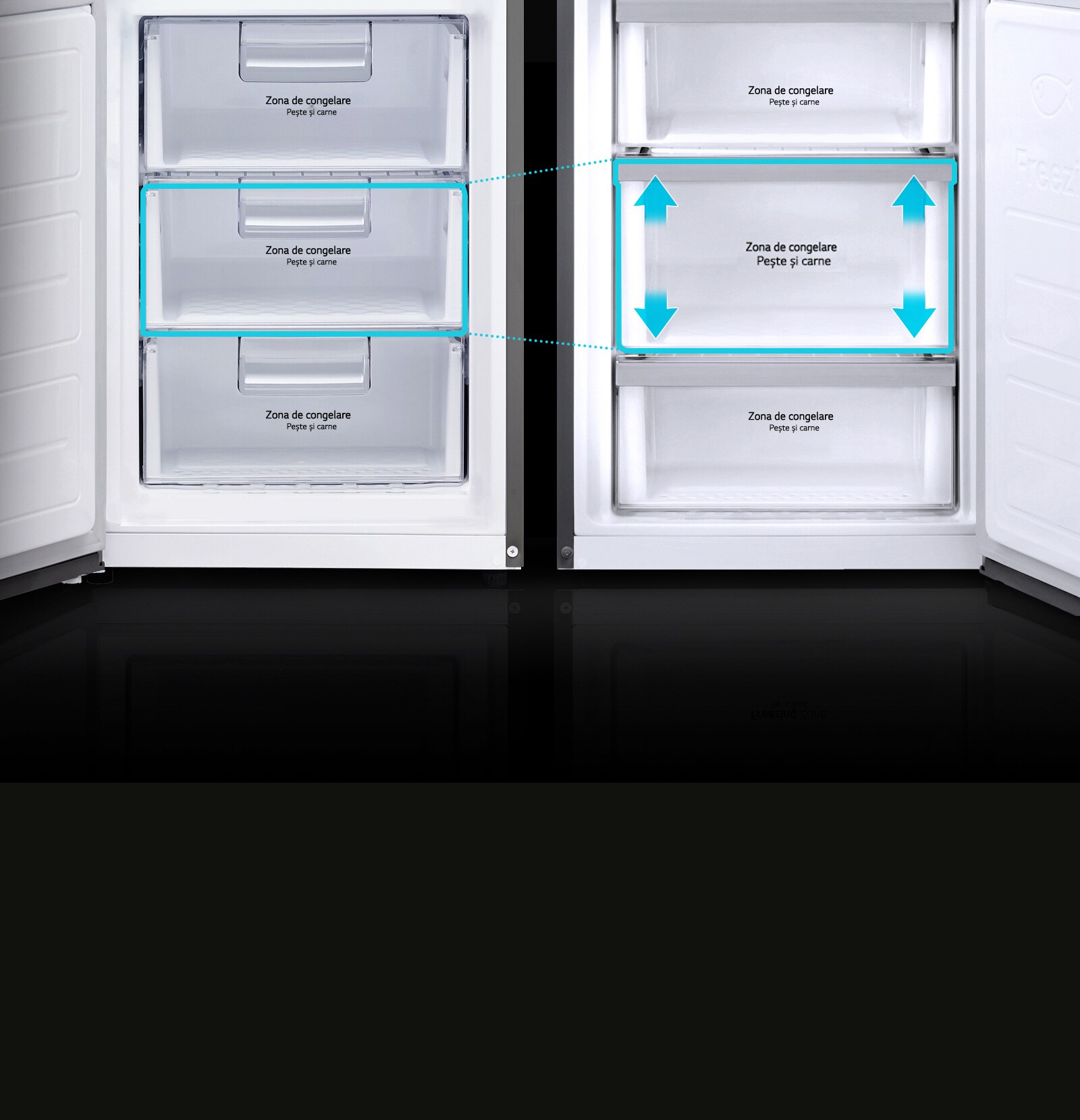 Zonă de congelator mărită2