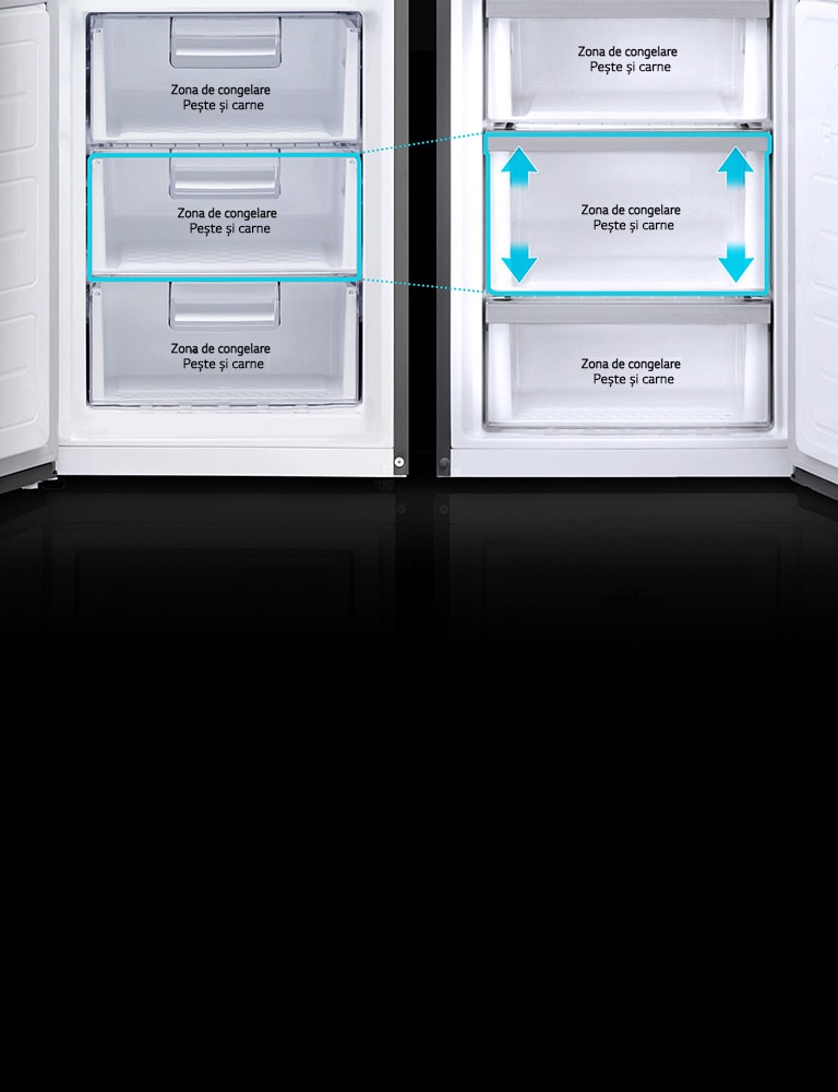 Zonă de congelator mărită2