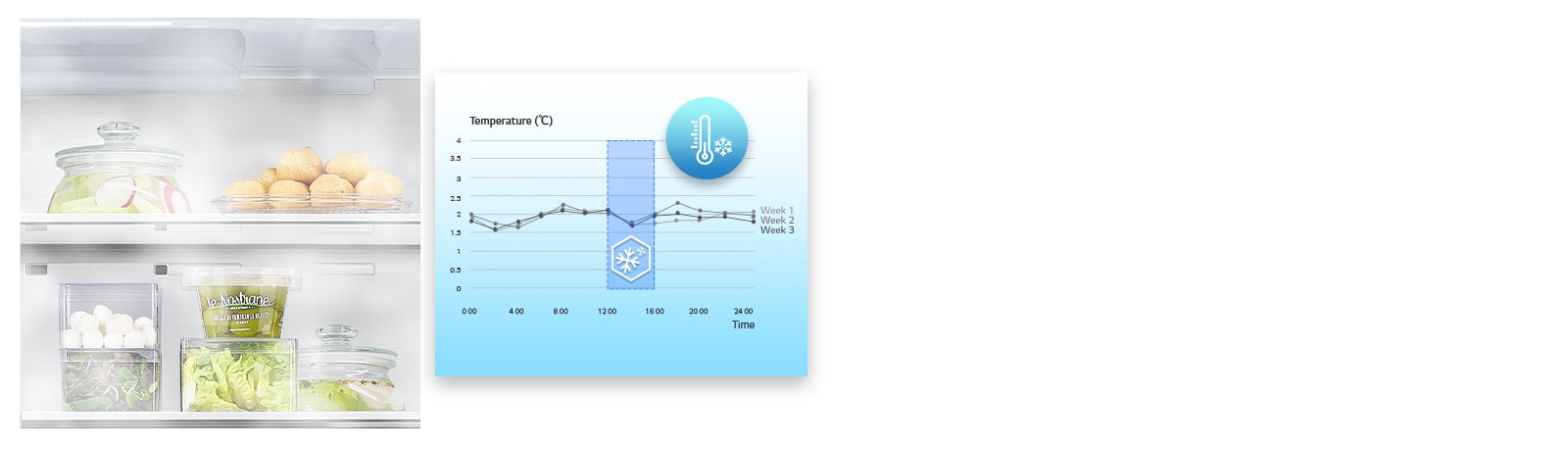 Graficul înregistrării și analizei temperaturii din frigider