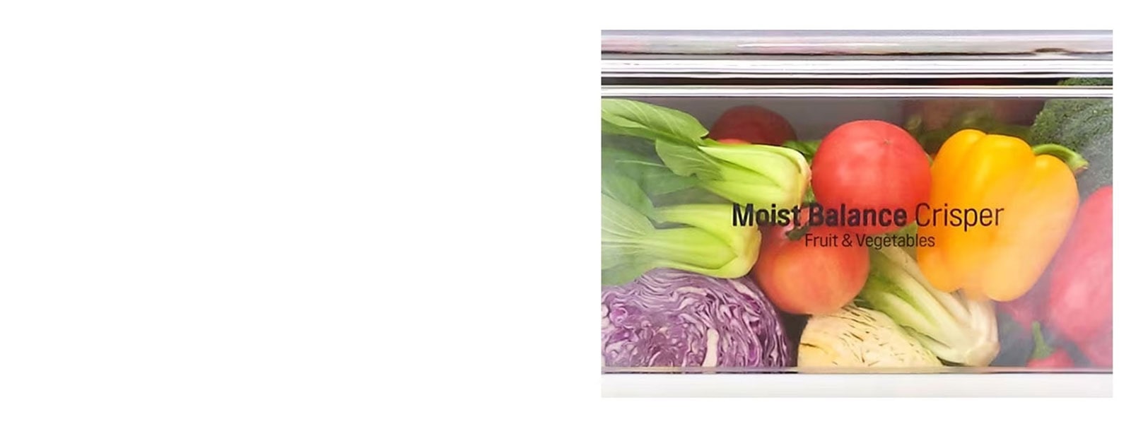 Moist Balance Crisper™2