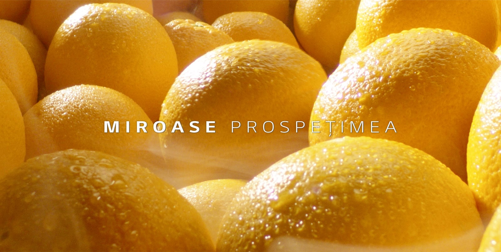 P-Veyron6-Refresh-InstaView-MatteBlackST-Nplumbing-08-3-LINEAR-D_v1