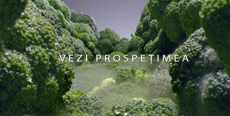 REF-Universe1-Basic-NobleSteel02_2_LinearCooling_M-new-123